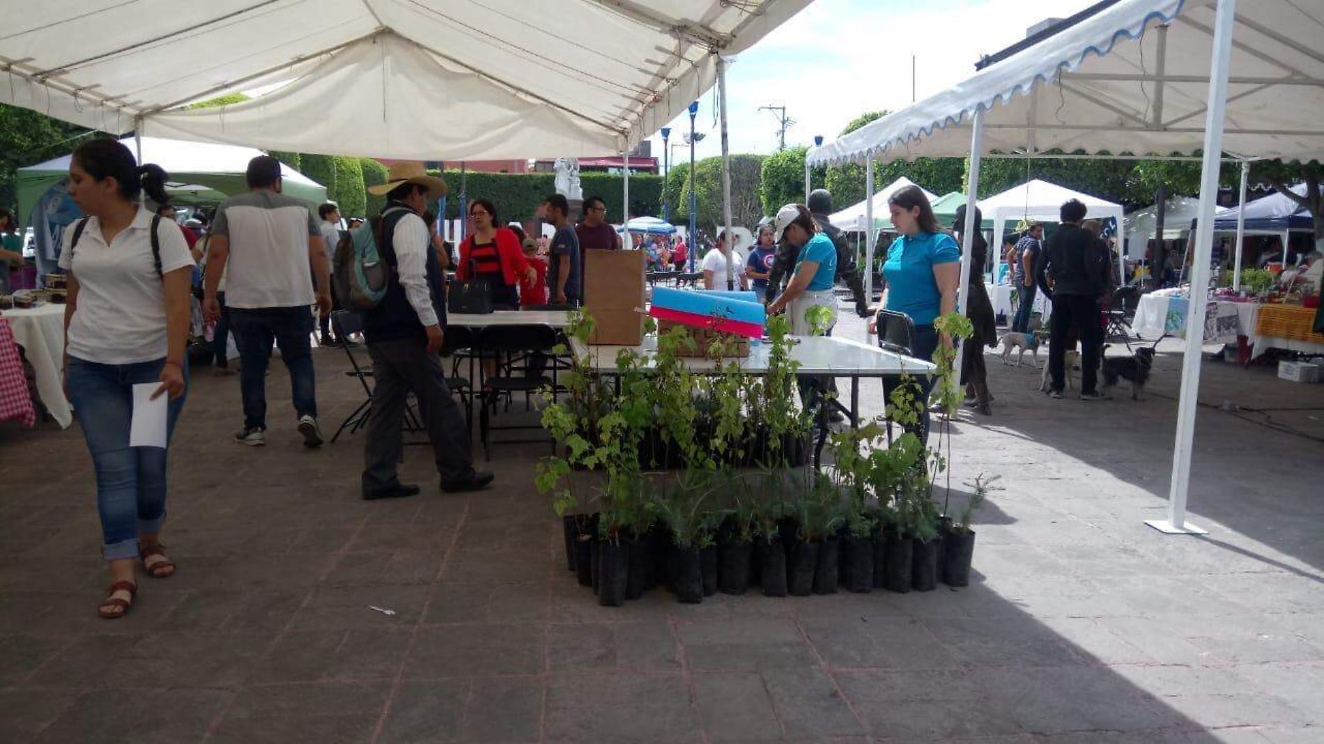 Este sábado se llevó a cabo la Feria Eco & Pets Friendly en el Jardín de la Familia. Foto Monsetrrat García